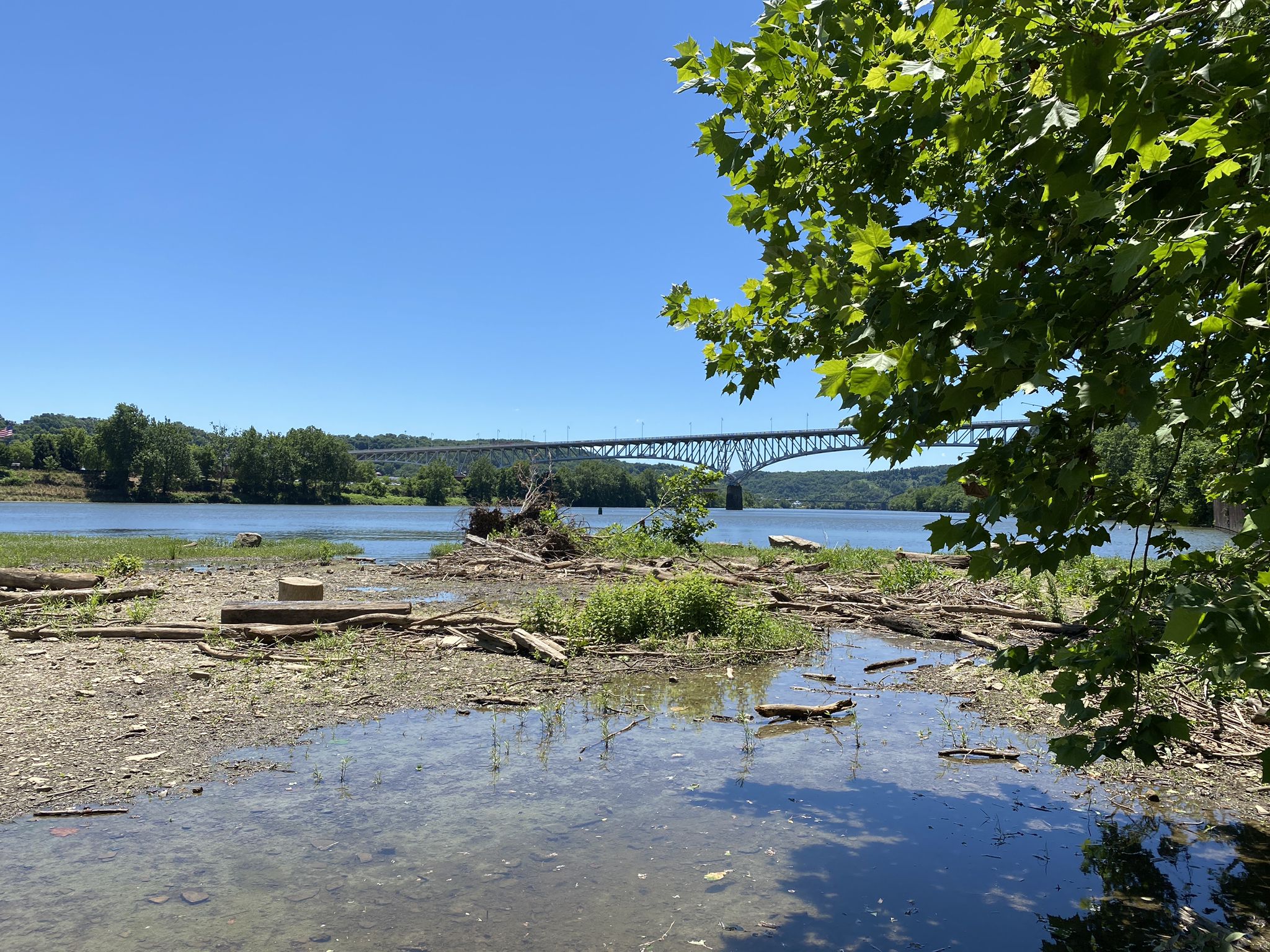 A wide river with a distant bridge under a clear blue sky. - Duck Hollow Trail
