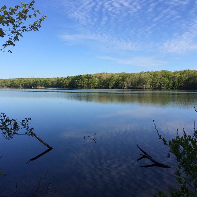 Calm lake reflects blue sky and clouds, surrounded by green forest.