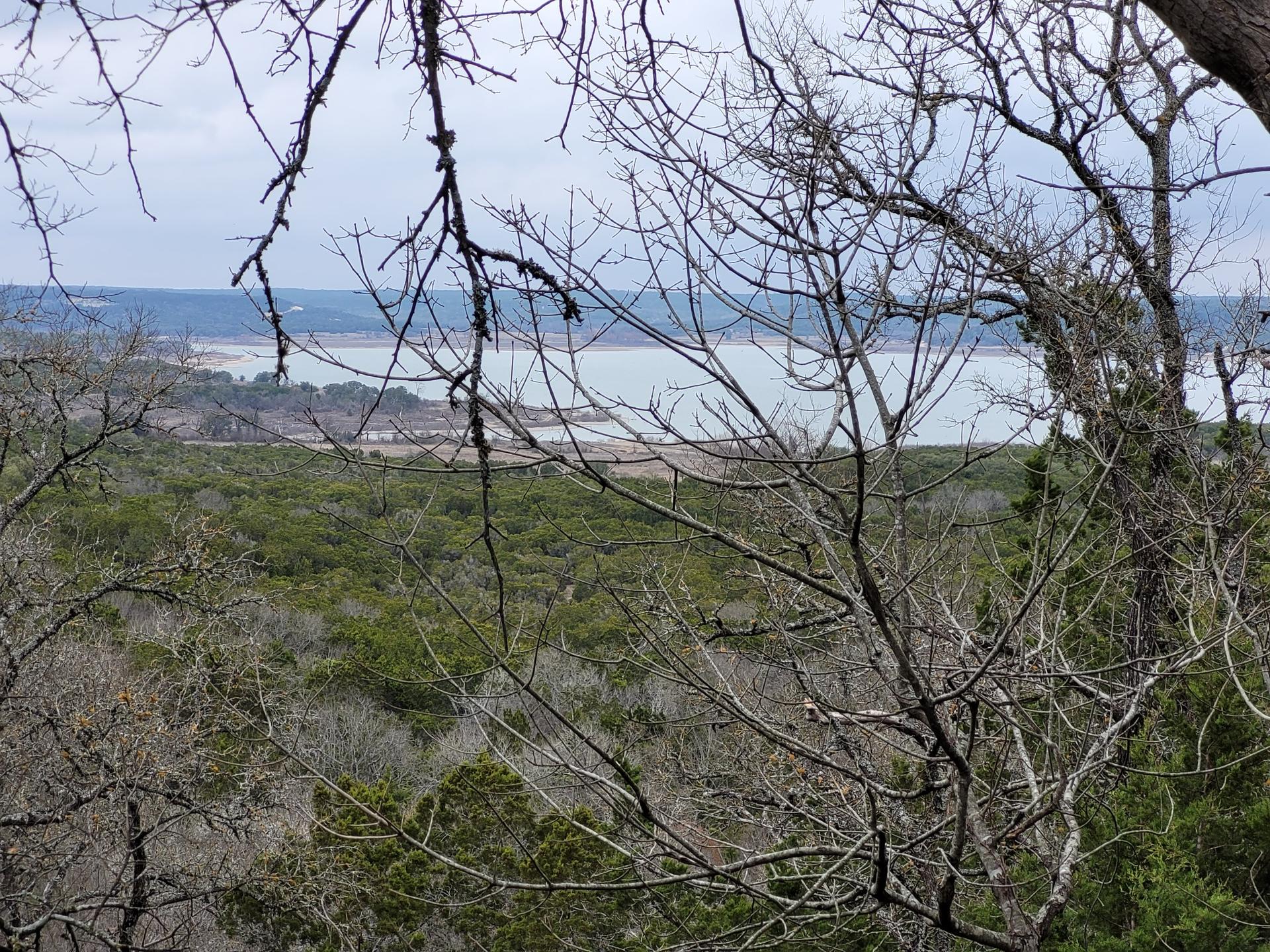 Overcast view through bare branches of a lake and green forested hills.