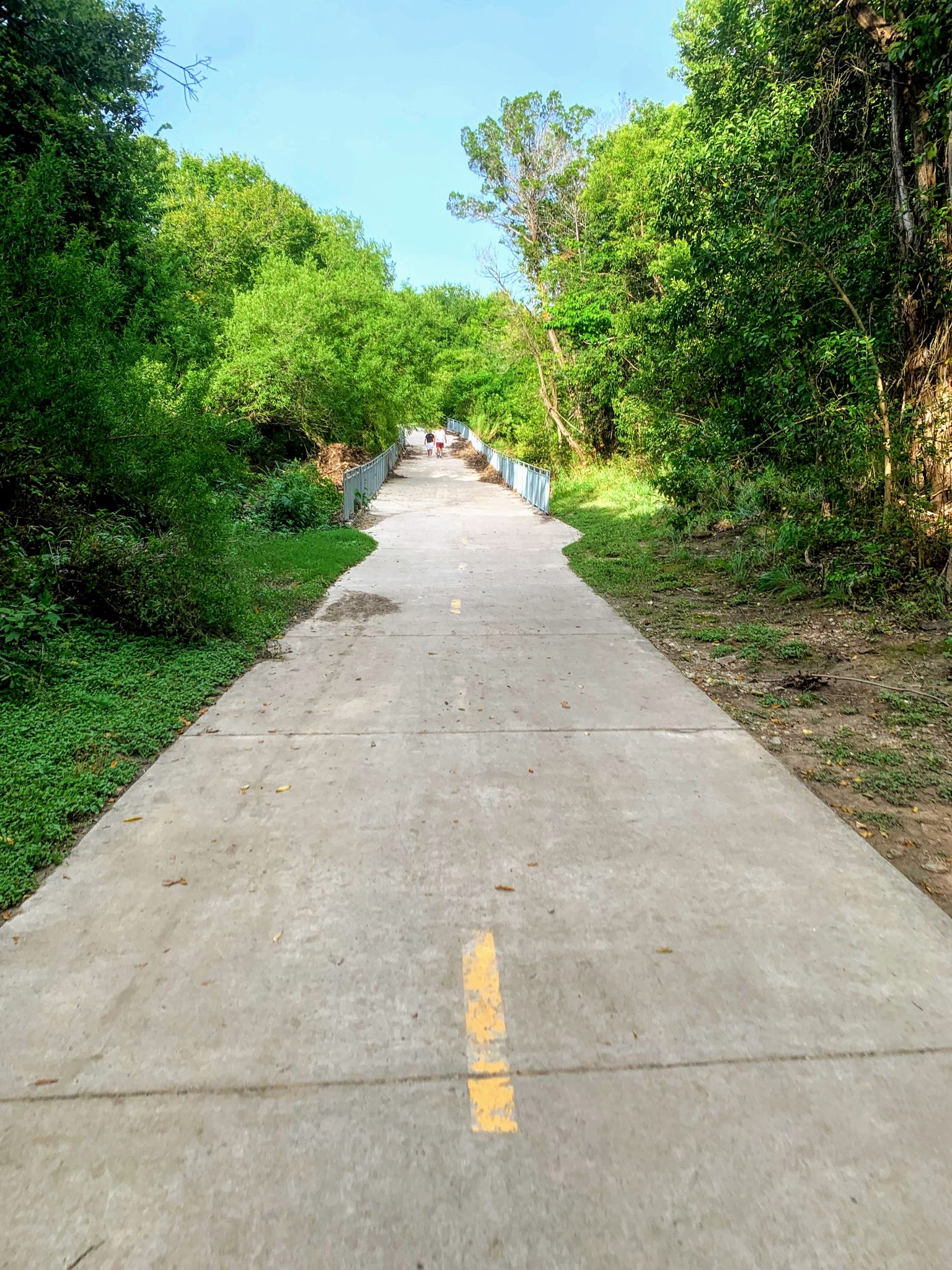 A paved path with a yellow line, winding through dense green trees on a bright day. - Walnut Creek Metro Park MTB Loop