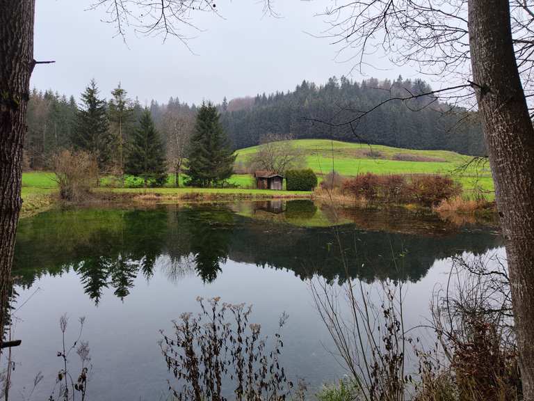 3 Teiche Wanderungen und Rundwege komoot