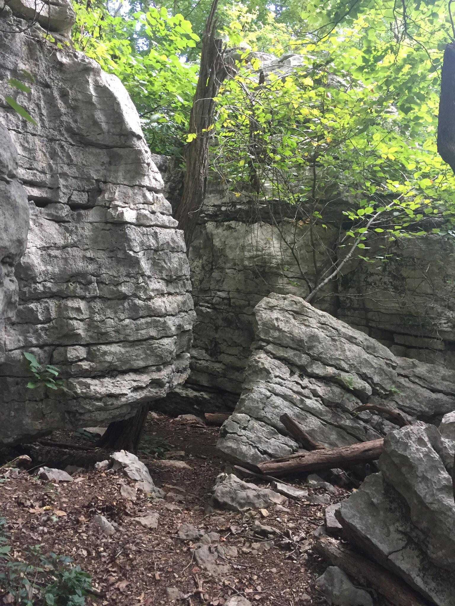 Large, layered rock formations surrounded by green foliage on a forest floor.