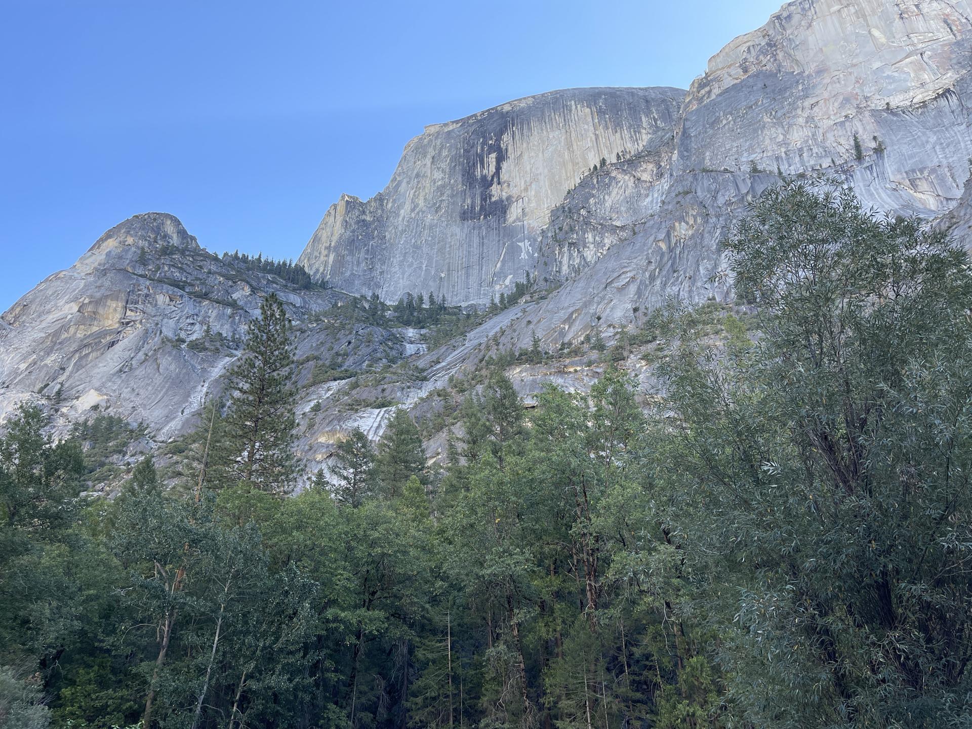 Steep, textured granite mountain face rises above a dense green forest.