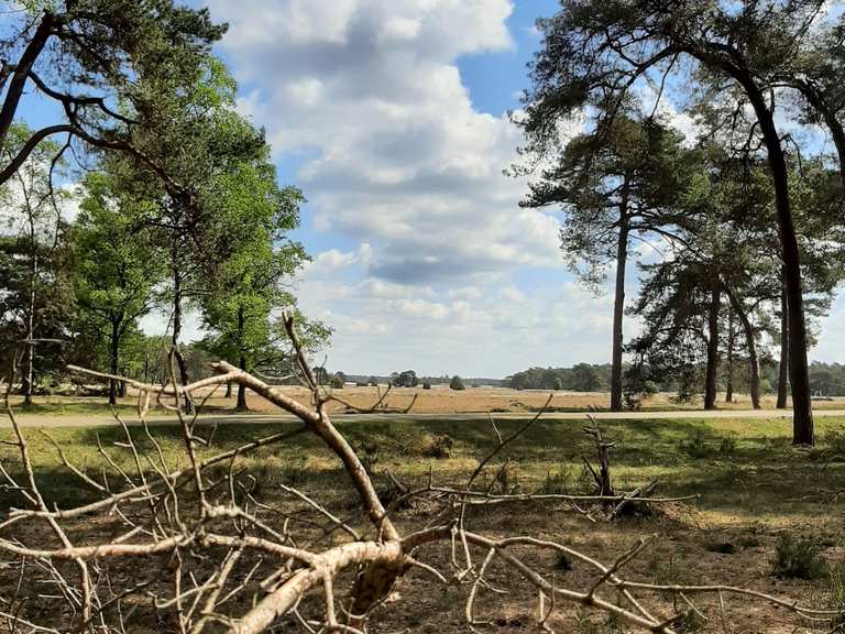 Nationaal park Hoge Veluwe – Monument Generaal De Wet Runde von Otterlo ...