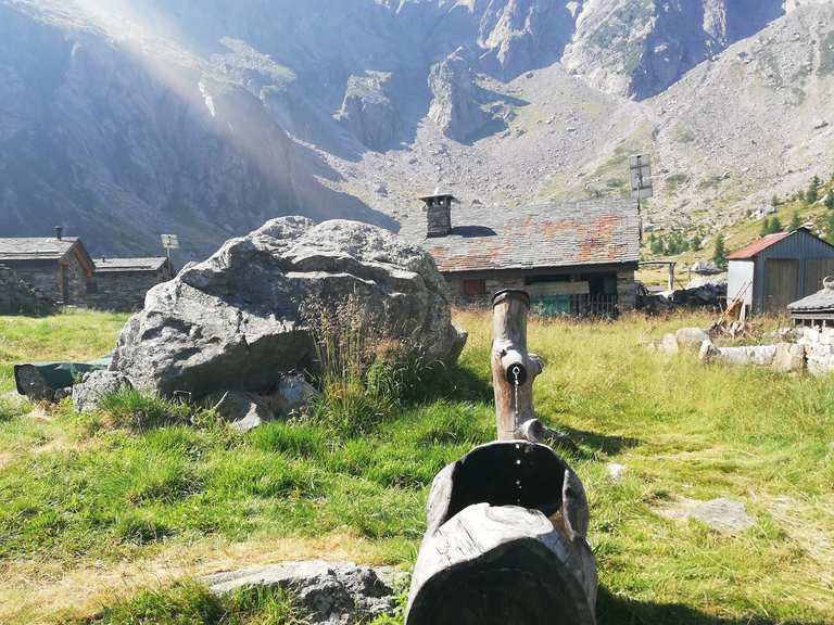 Alpe Campo Wanderungen und Rundwege komoot