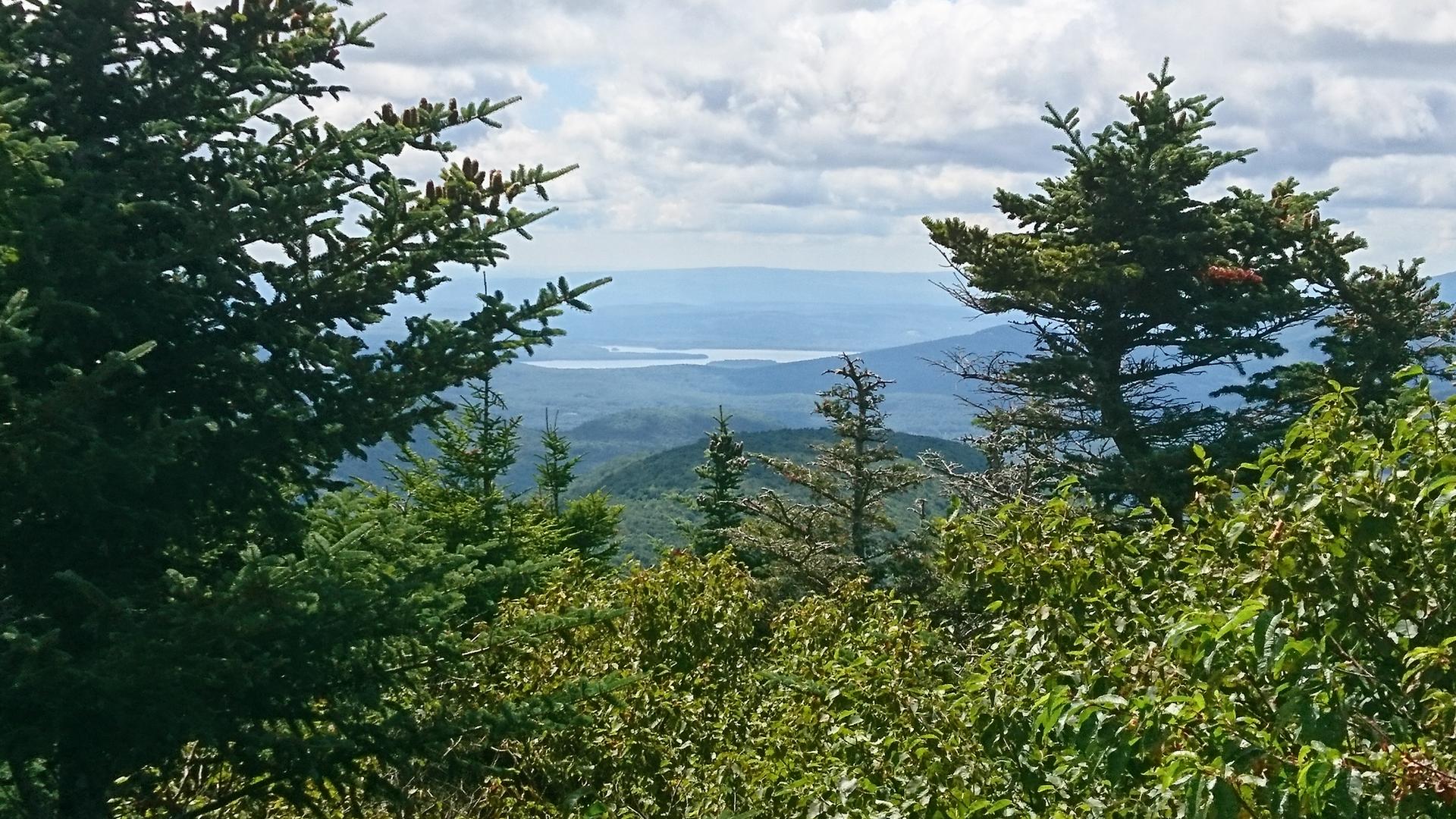 View through evergreen trees of distant mountains and a lake under a cloudy sky.