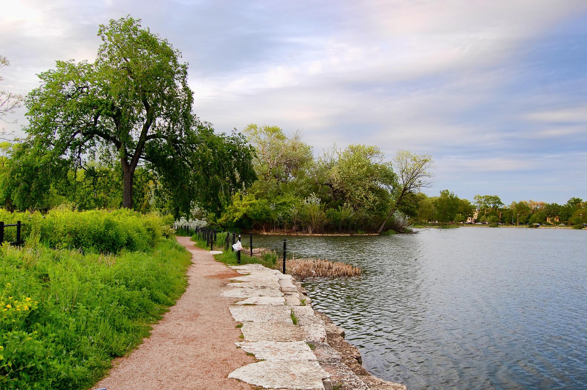 Dirt path beside a calm lake with lush trees under a bright sky.