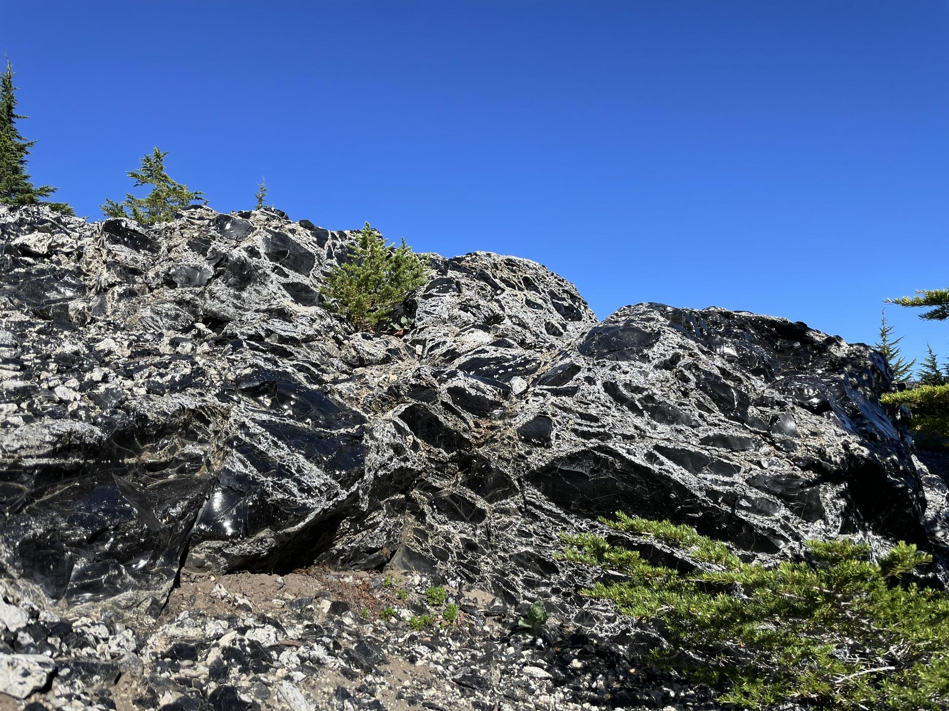 Jagged, dark volcanic rock formations with small green plants under a clear blue sky.