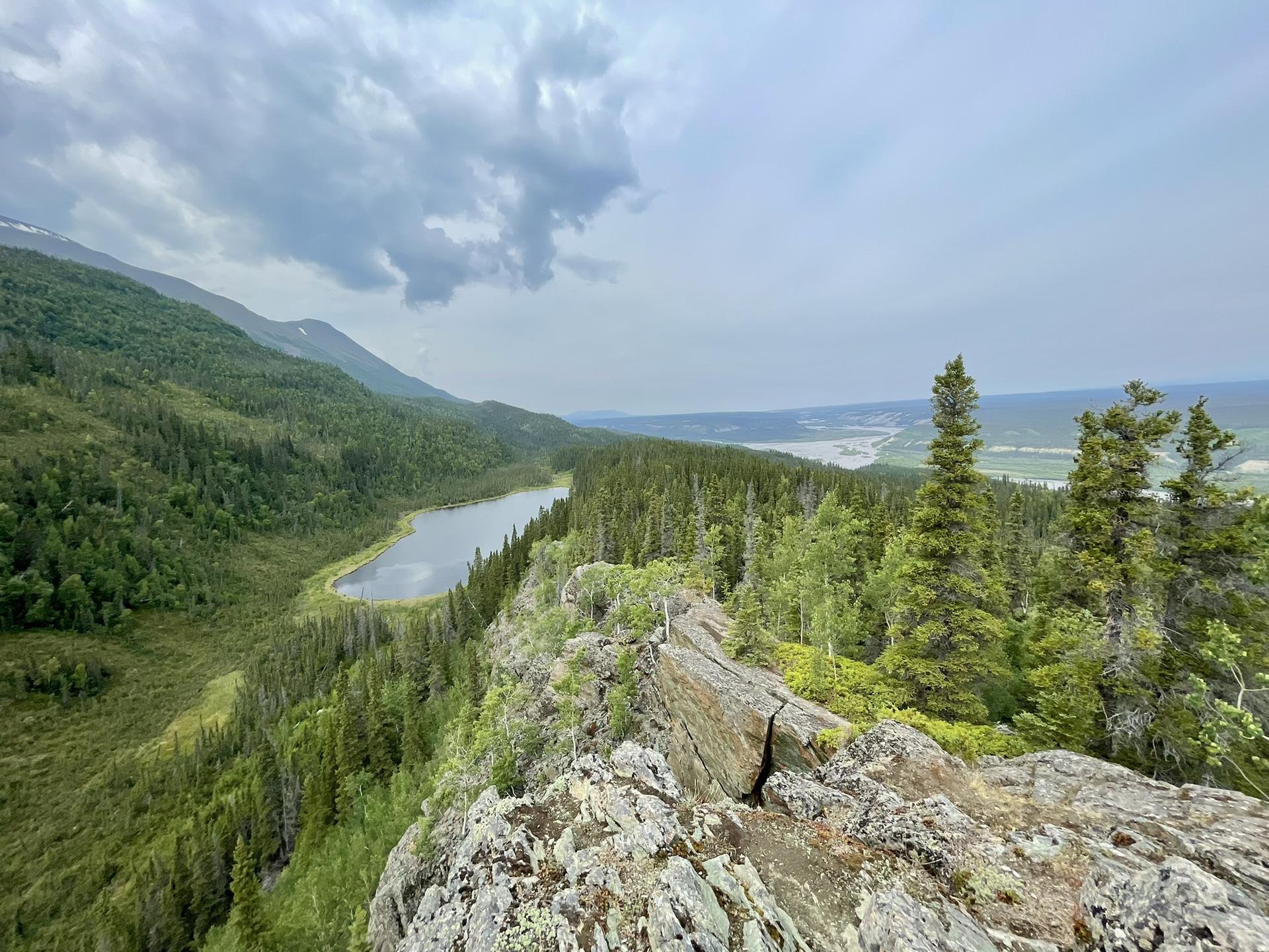 View from a rocky cliff overlooking a serene lake and vast green forest.