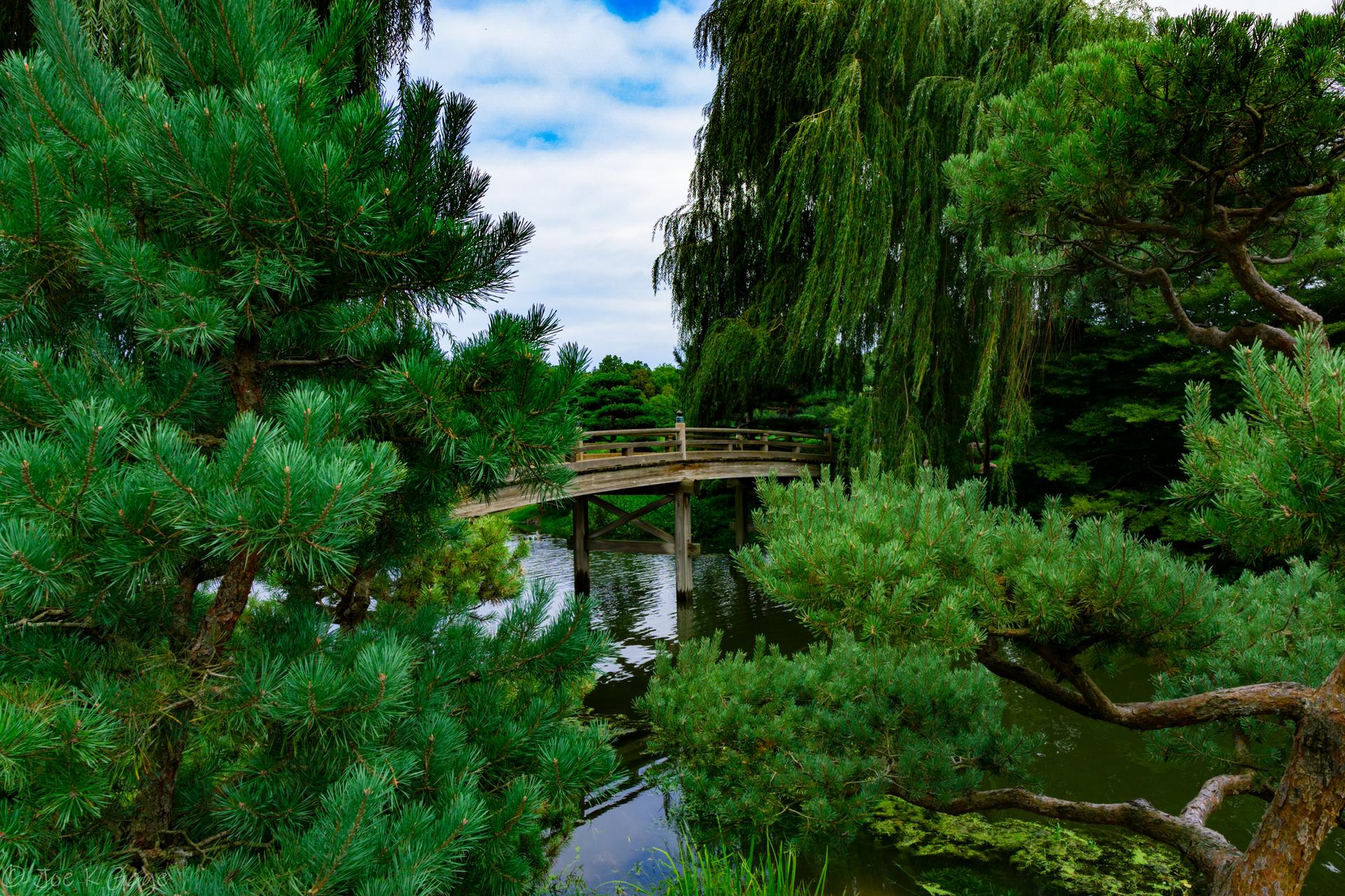 A wooden bridge spans dark water, framed by lush green trees.