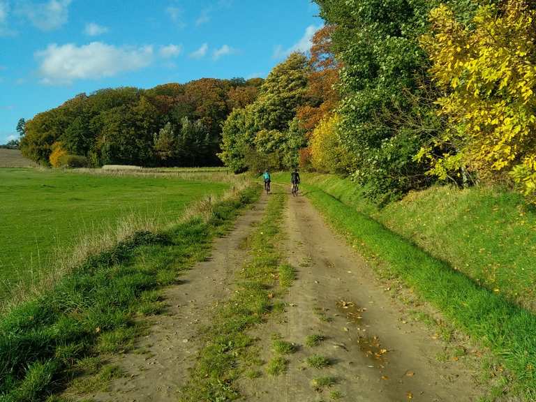 Technische weg met stenen en geulen: MTB-routes en trails | Komoot