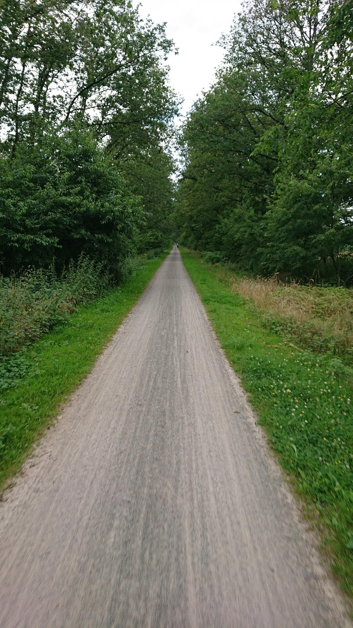 Alter Bahndamm: Radtouren Und Radwege | Komoot