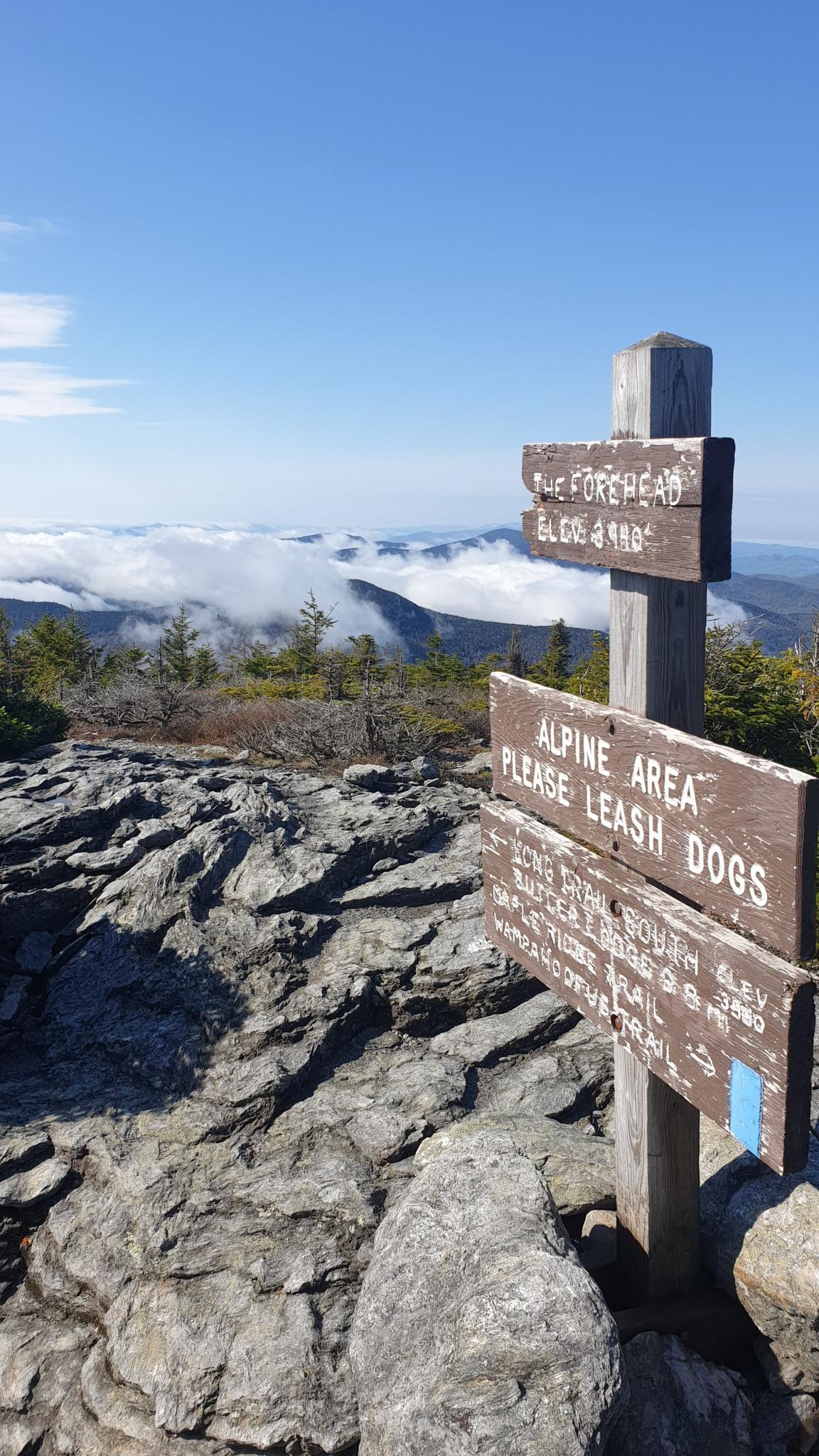 Wooden trail signpost on a rocky mountain peak with clouds below.