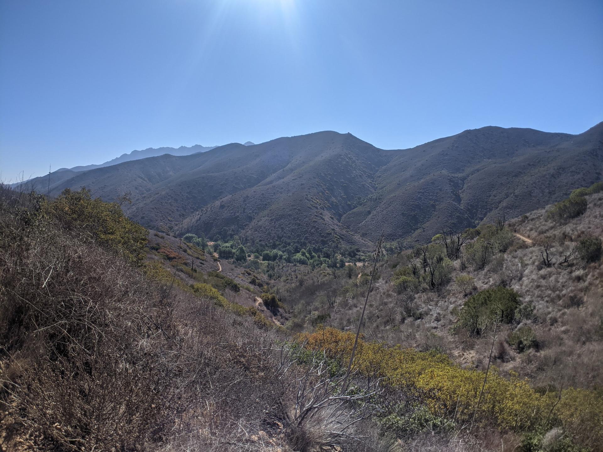 Sunny mountain valley with dry brush, green trees, and distant peaks.