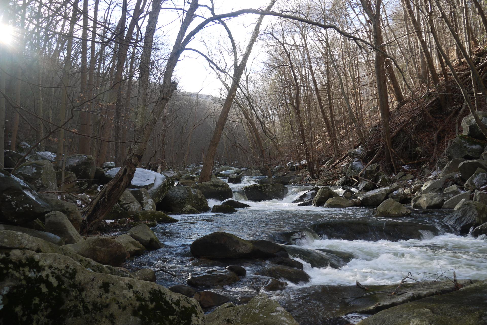 Sunlit stream with rapids flowing through a rocky, bare-treed forest.