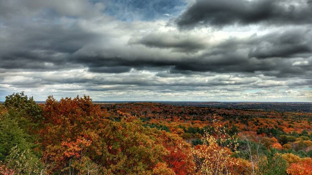 A panoramic view of a vibrant autumn forest under a dramatic cloudy sky. - Bradbury Mountain State Park loop