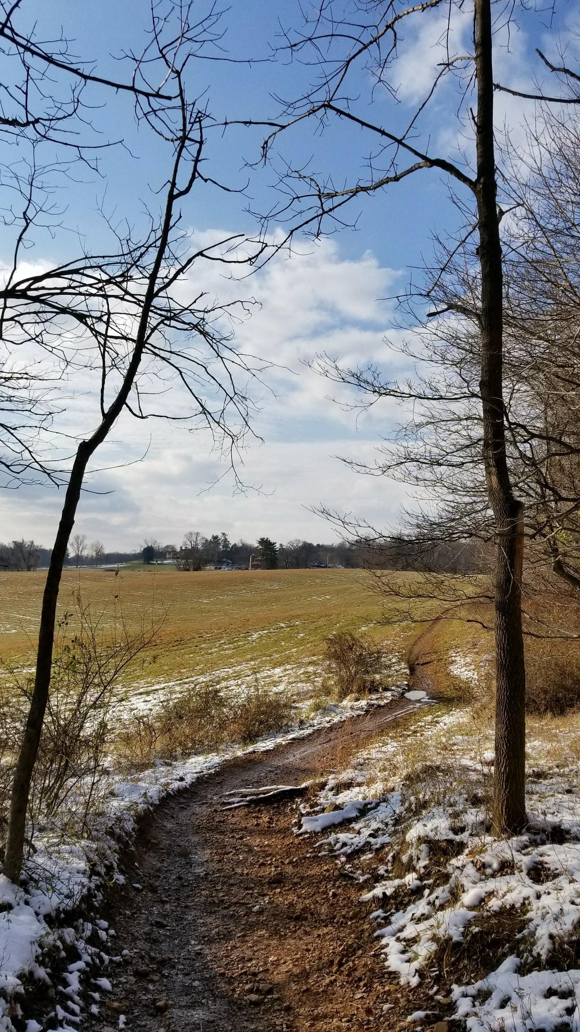Snowy trail curves towards a golden field under a bright, cloudy sky.