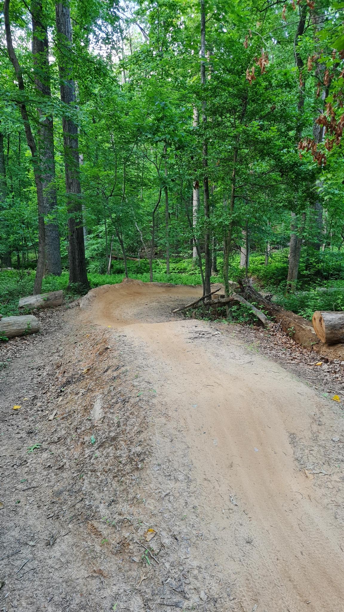 Winding dirt bike trail with a banked turn in a green forest.
