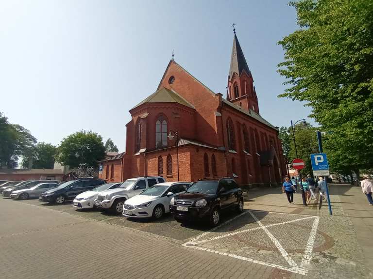 UxradG Plateforme Pour Tortue - Aquarium Ramp Échelle, Bain De Soleil Et Jeu Pour Reptiles De Mer - Taille M