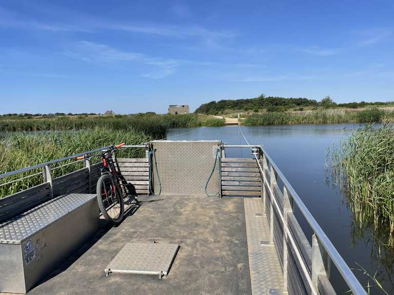 Seilfähre MountainbikeTouren und Trails komoot
