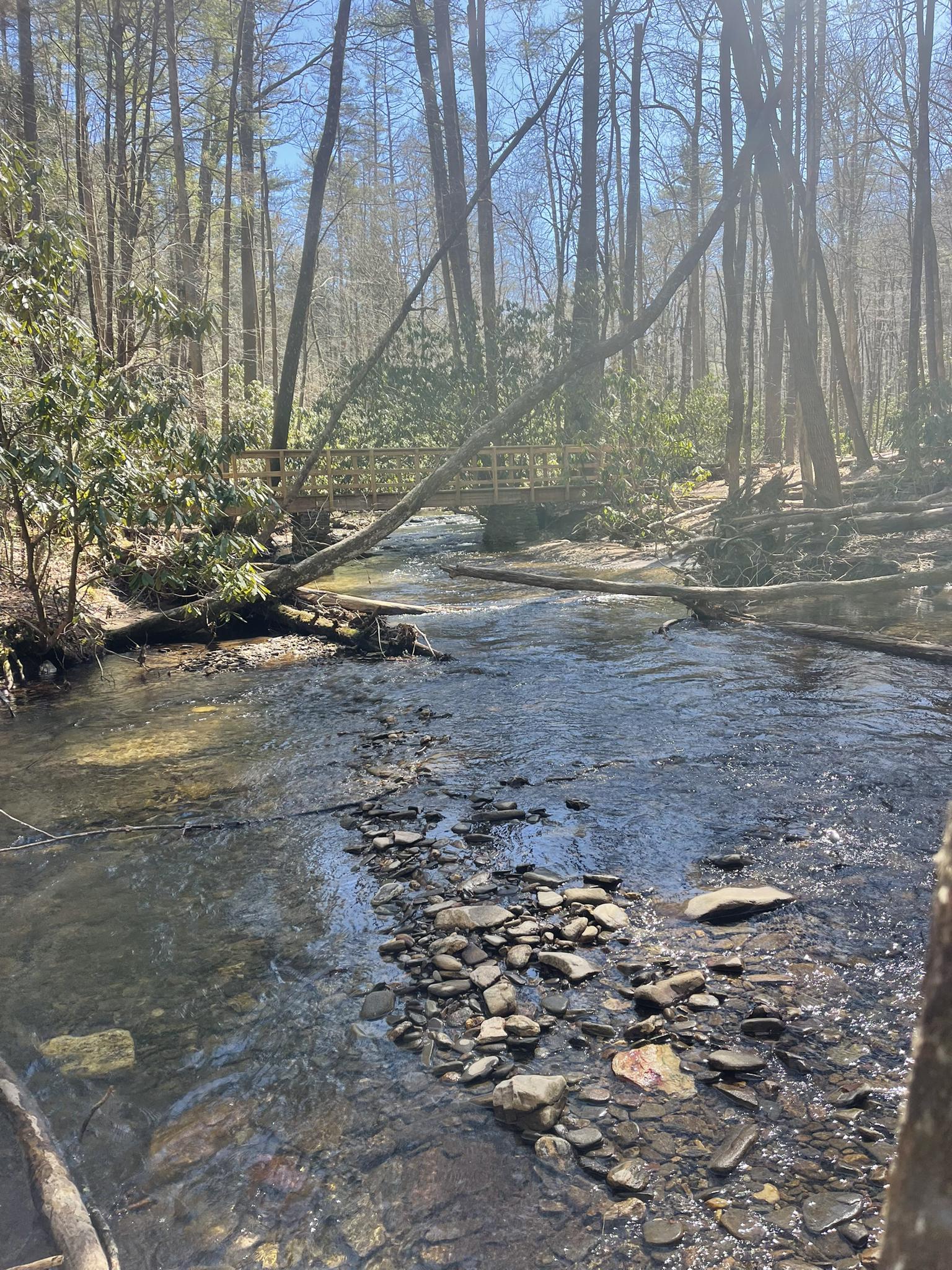 Sunny forest stream with rocks and a distant wooden bridge.