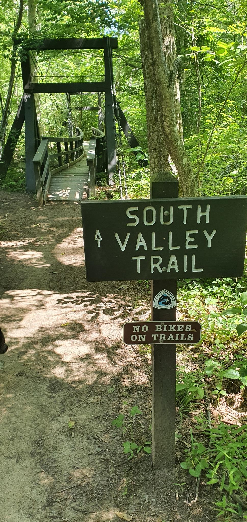 A trail sign stands before a wooden suspension bridge in a green forest.