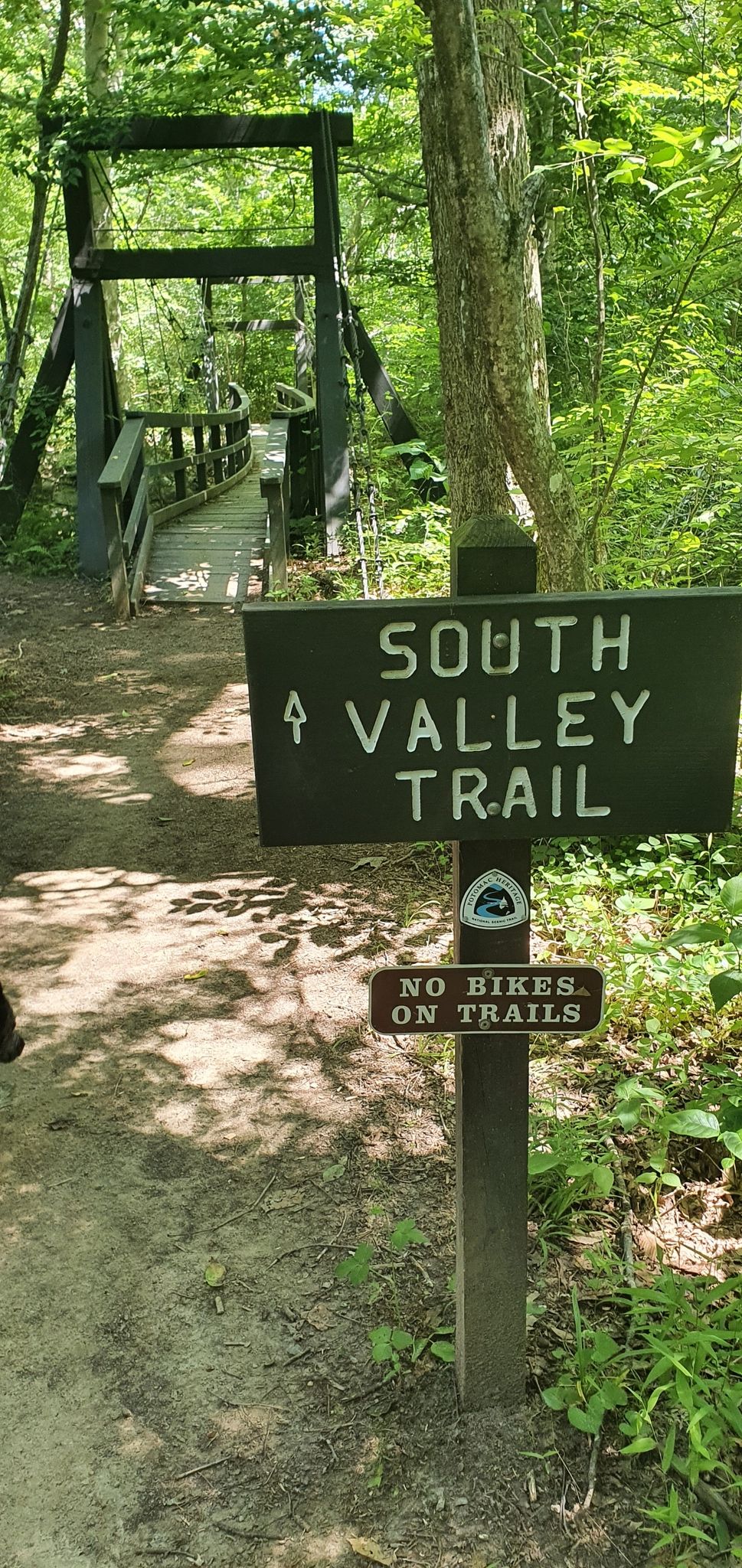 A trail sign stands before a wooden suspension bridge in a green forest. - Birch Bluff Trail – Quantico Creek loop from Montclair