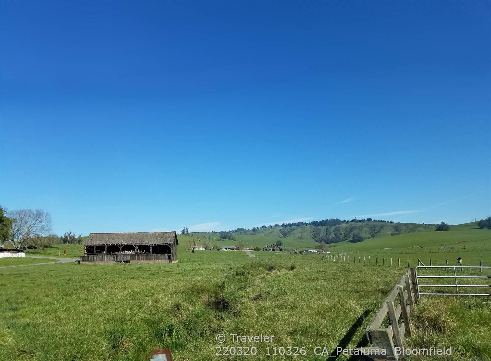 A wooden barn in a vast green field under a clear blue sky.