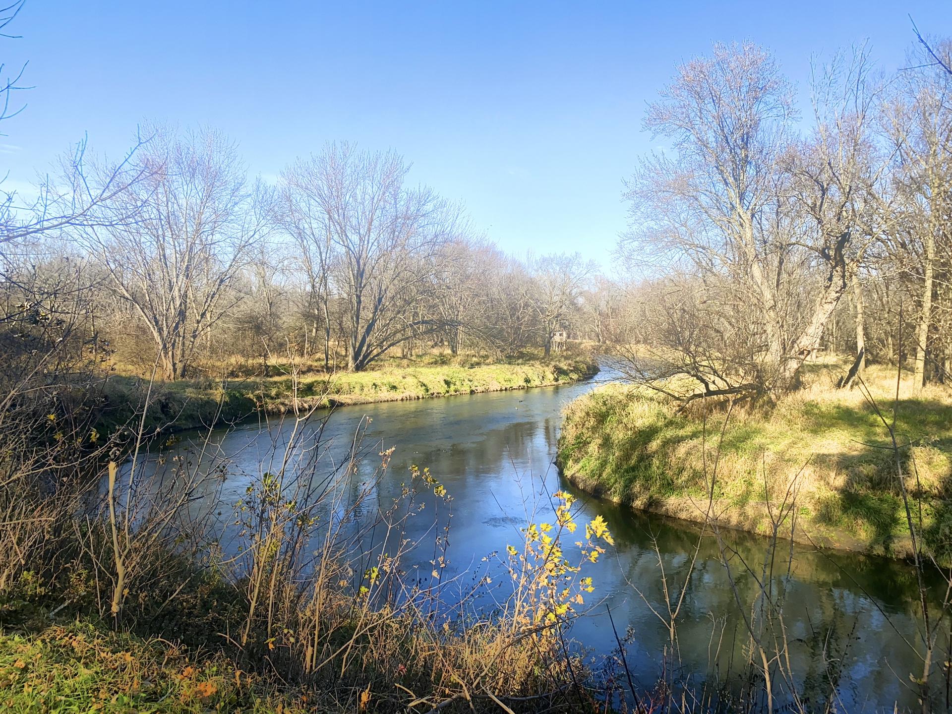 Winding river with bare trees and green banks under a clear sky.