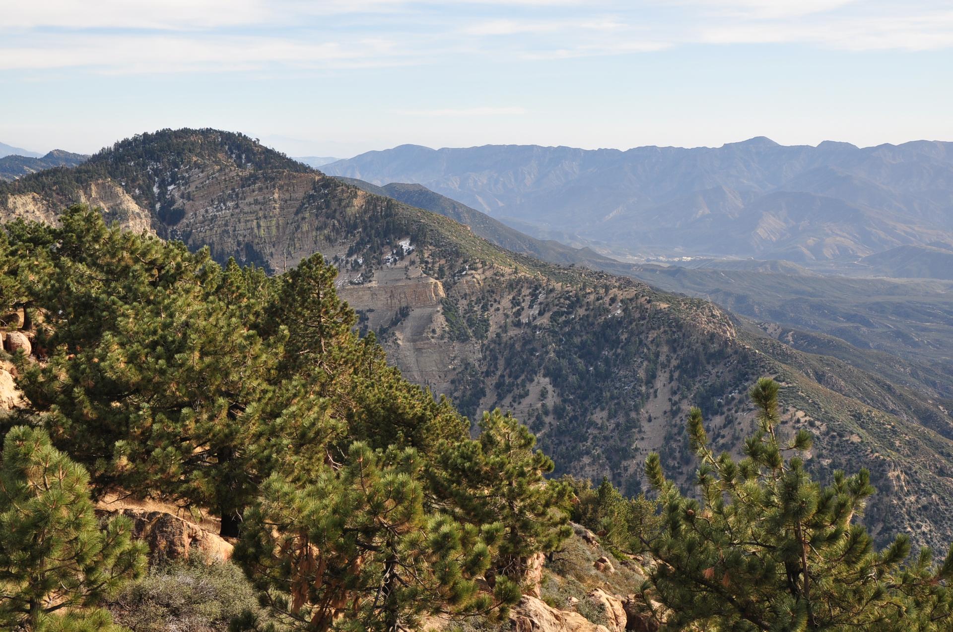 Sunny mountain vista with dense pine forests and distant hazy peaks.