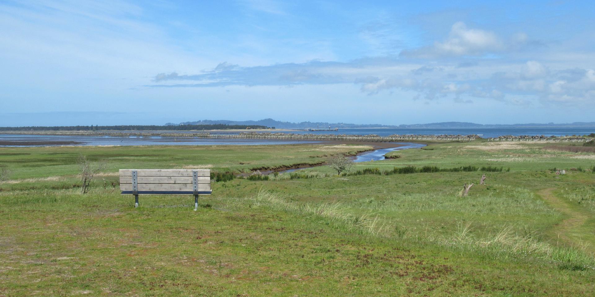 Wooden bench in a sunny grassy field overlooking a wetland and distant water.