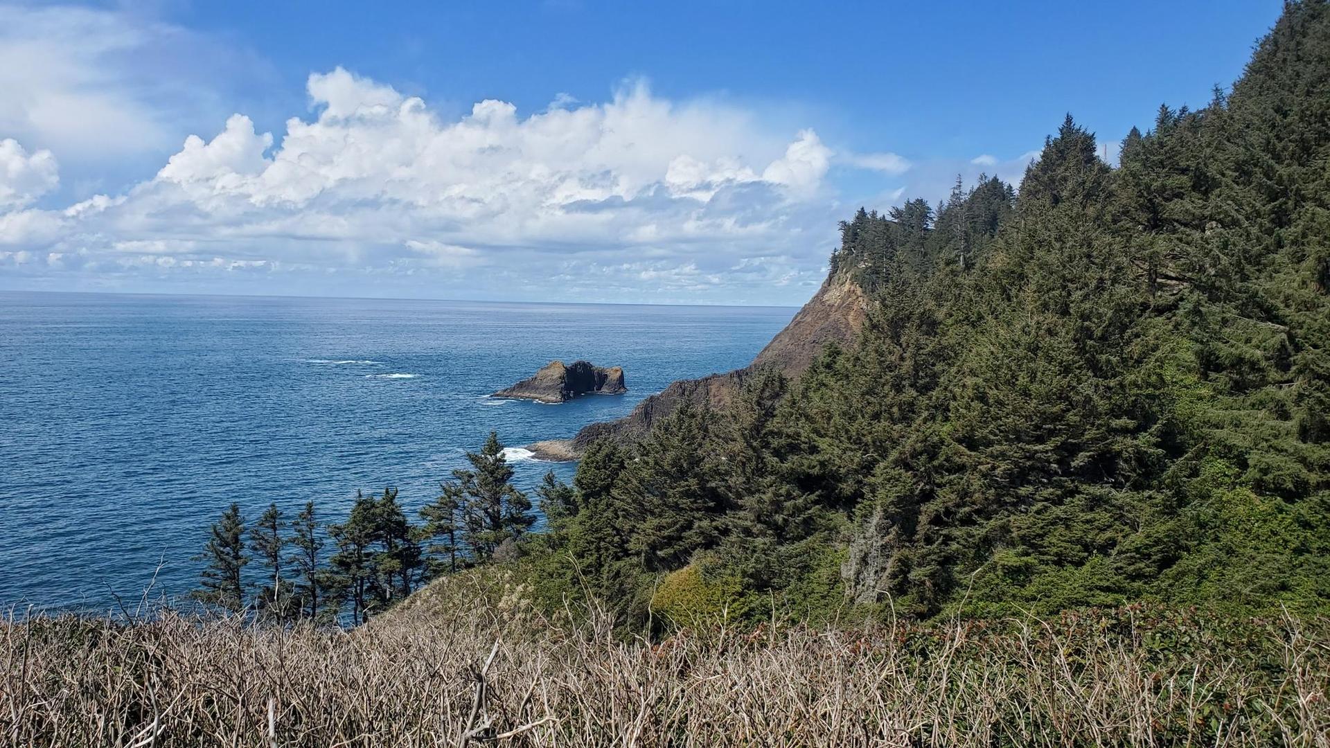 Expansive blue ocean with a rocky island and a forested coastline under a bright sky.
