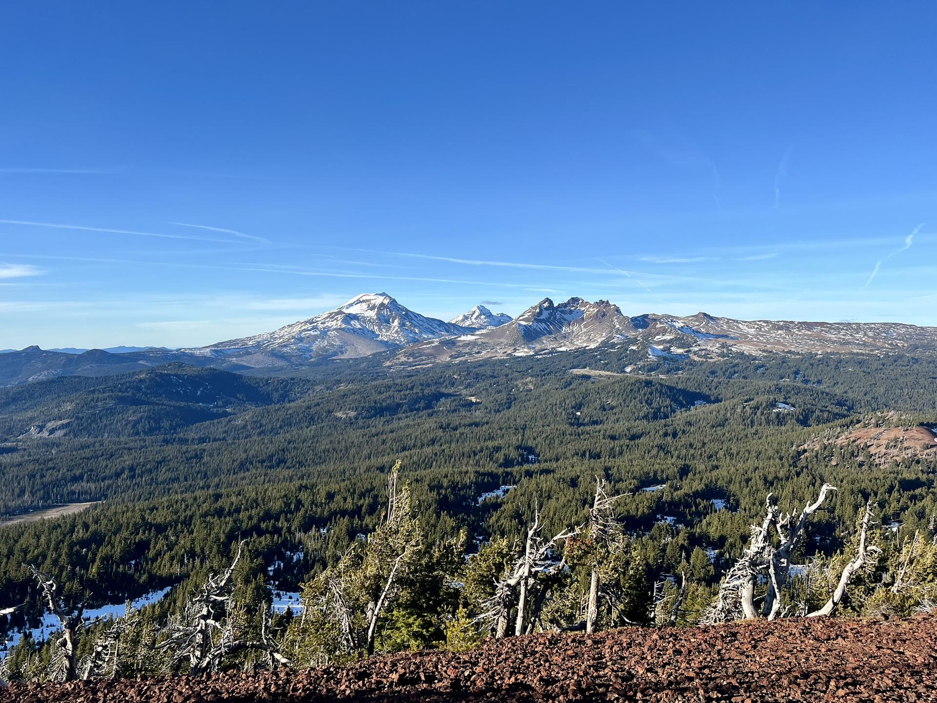 Panoramic view of snow-capped mountains and a vast forest under clear blue sky.