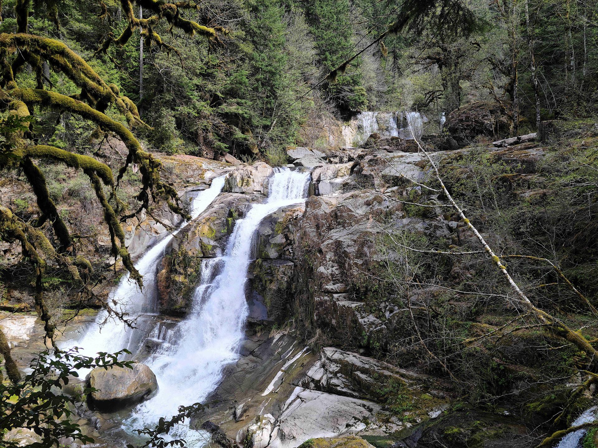 A multi-tiered waterfall cascades through a lush forest with mossy branches in the foreground.
