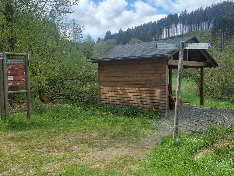 Ancien étang des castors dans la vallée de la Wadrill – Itinéraires ...