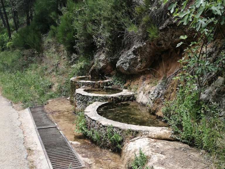 Nacimiento del río Mundo - Ruta circular en el Parque Natural de los ...