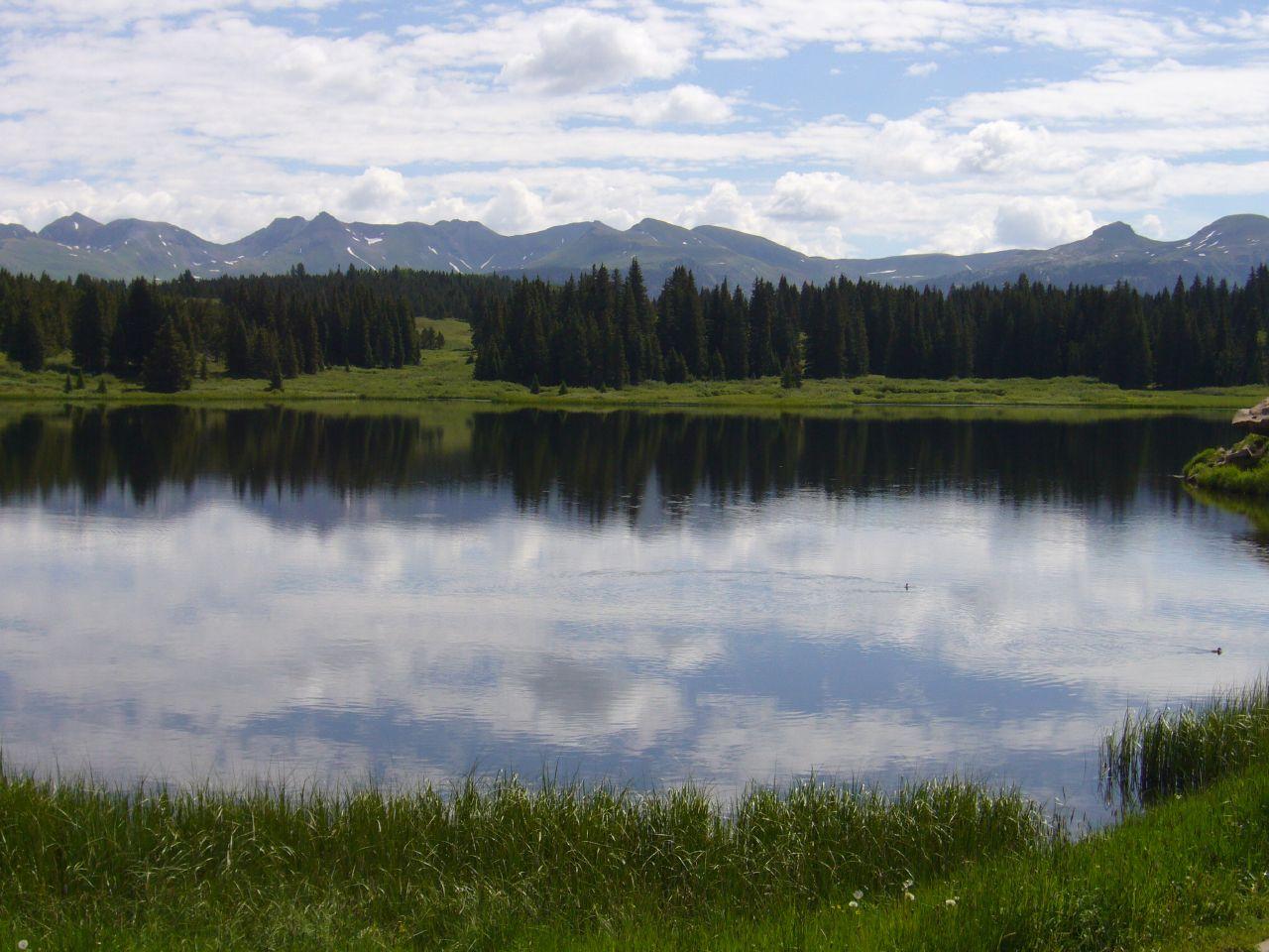 Calm lake reflects clouds, surrounded by green forest and distant mountains.