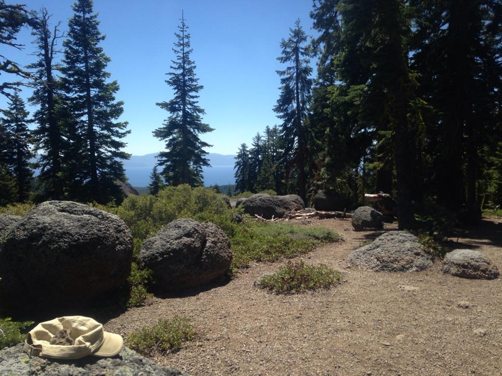 Sunny forest clearing with a hat on a rock, tall pines, and distant blue water.