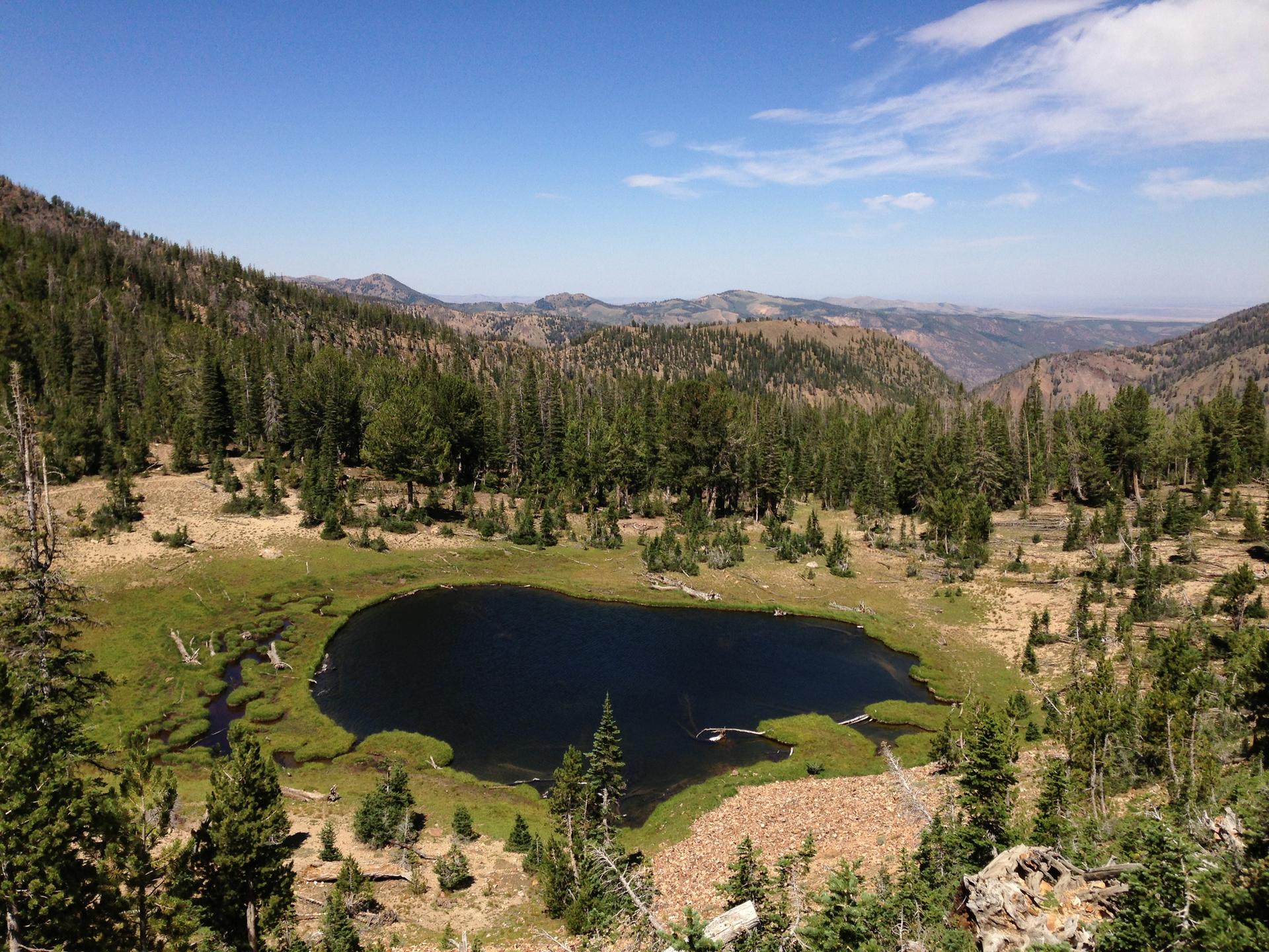 An aerial view of a dark mountain lake surrounded by forest under a clear sky.