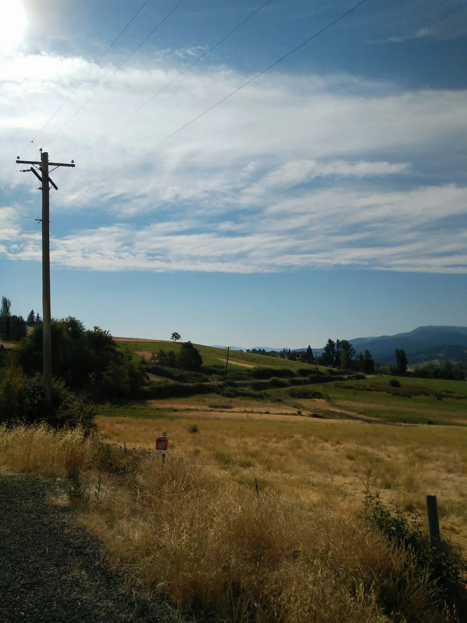 Sunny rural landscape with golden fields, rolling hills, and a utility pole.