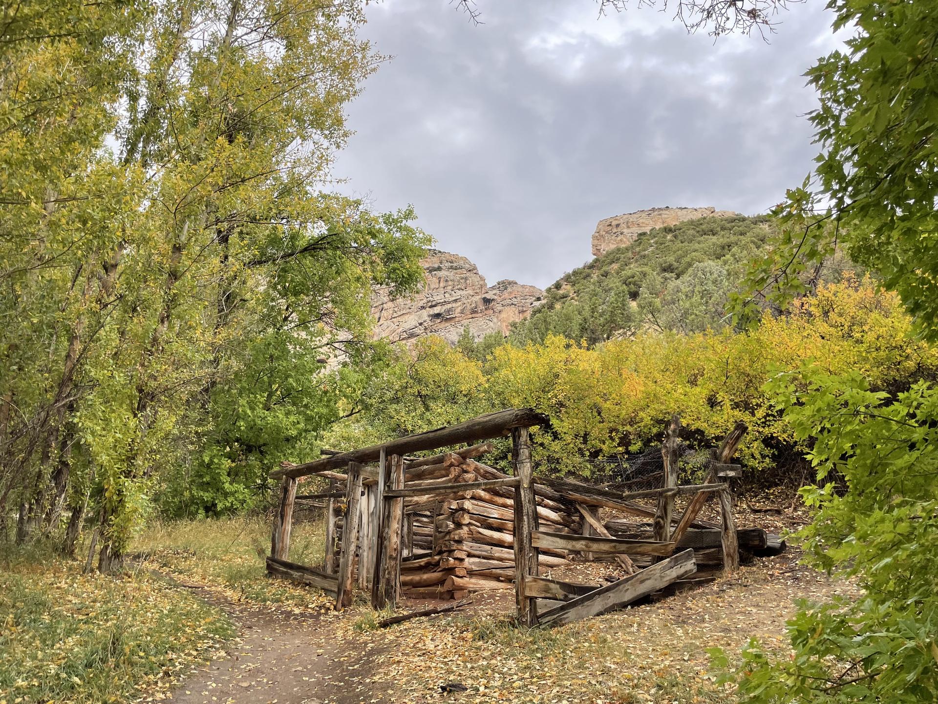 Dilapidated wooden structure in a forest with autumn trees, cloudy sky.