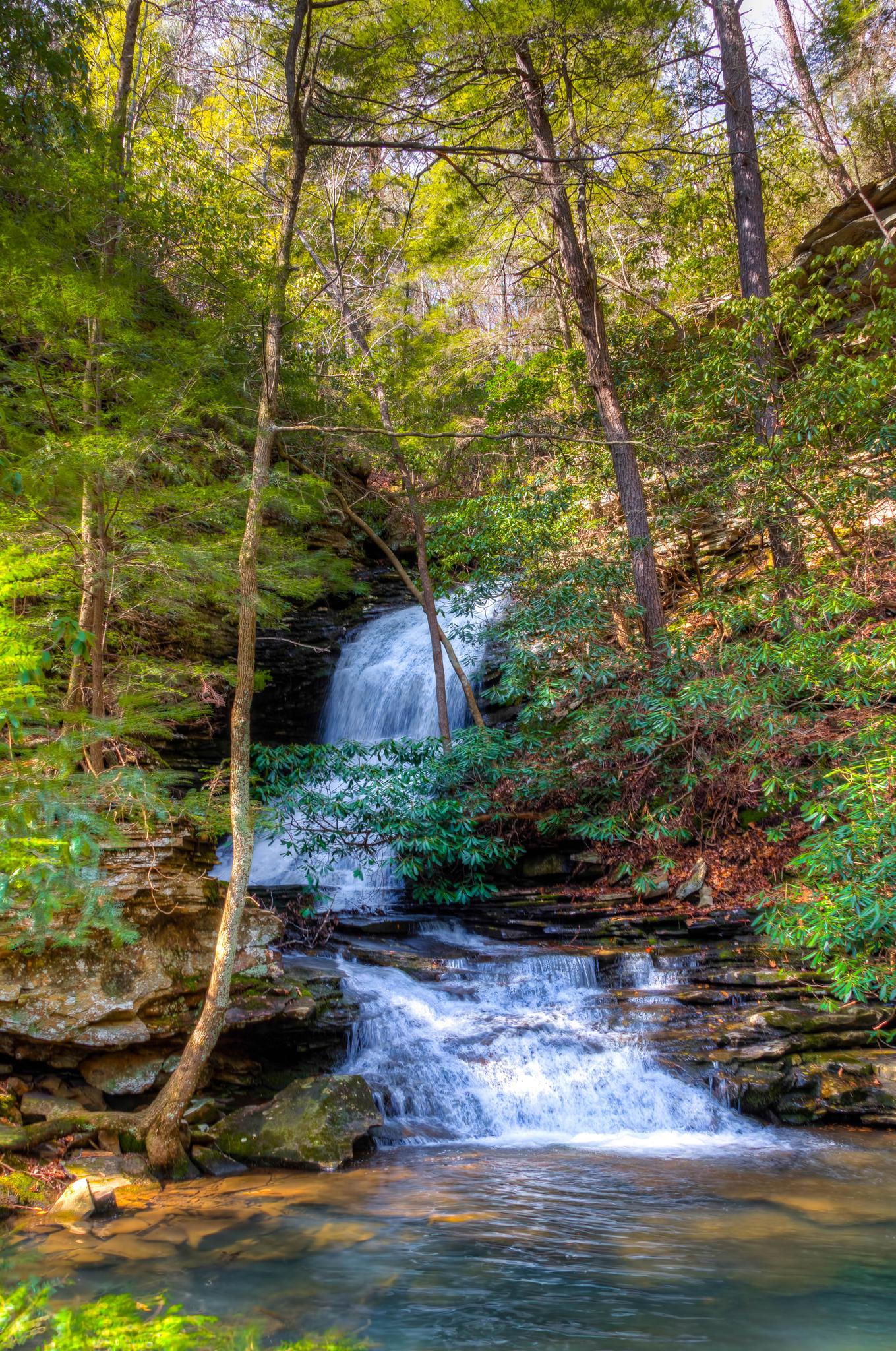 A beautiful waterfall cascades into a clear pool surrounded by a vibrant green forest.