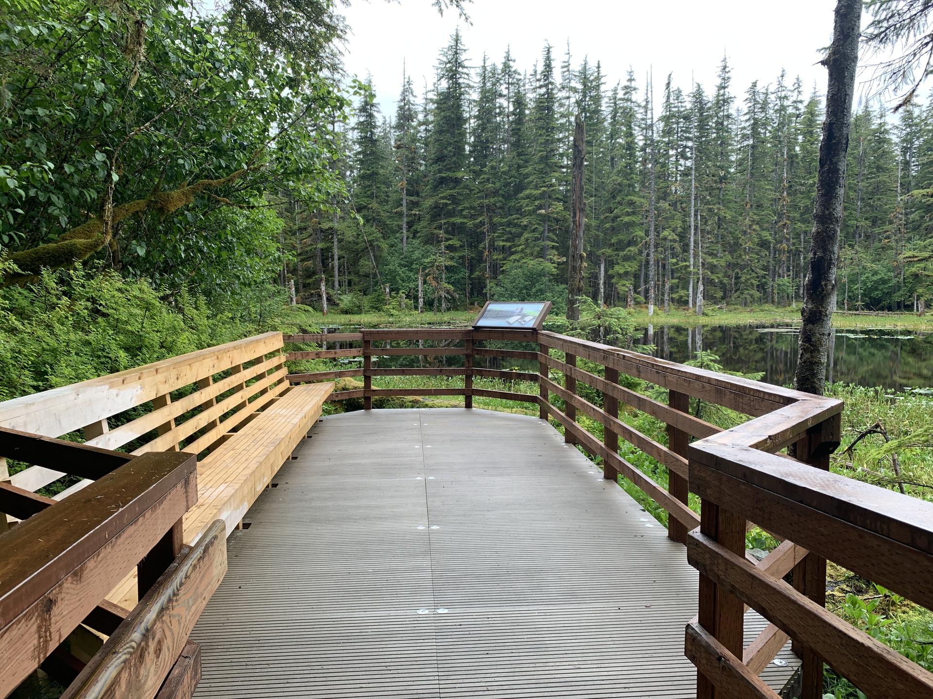 A wooden viewing platform with benches overlooks a calm forest pond.
