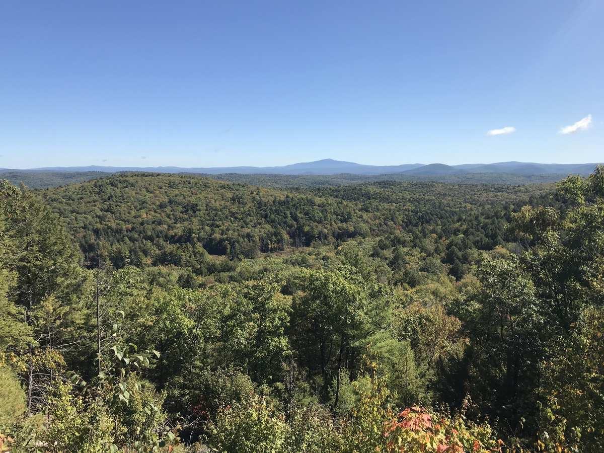 Expansive view of green forested hills under a clear blue sky.