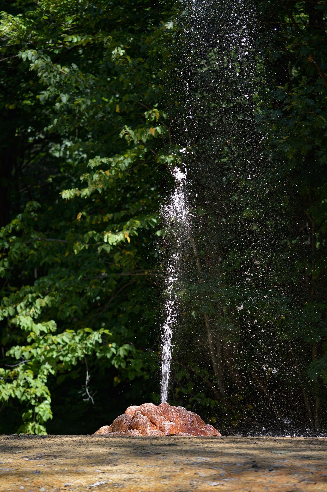 Fünf-Meilen-Rundweg - Schloop - Saratoga Spa State Park | Wanderung ...