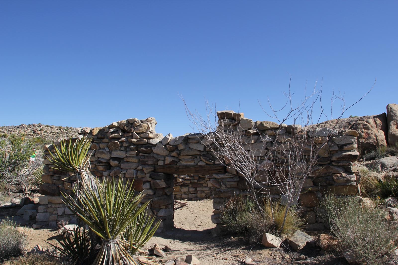 Stone ruins with an archway, surrounded by desert plants under clear sky.