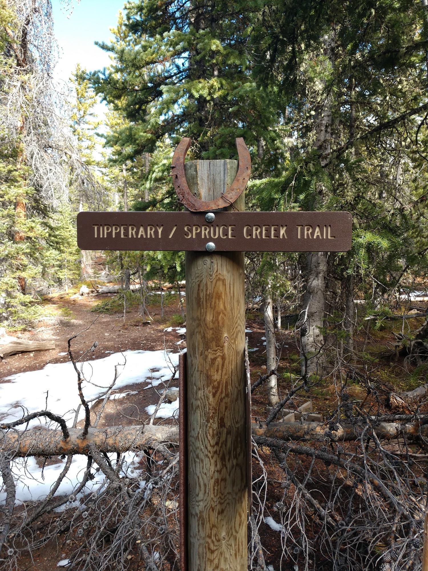 A wooden trail sign with a horseshoe stands in a snowy forest.