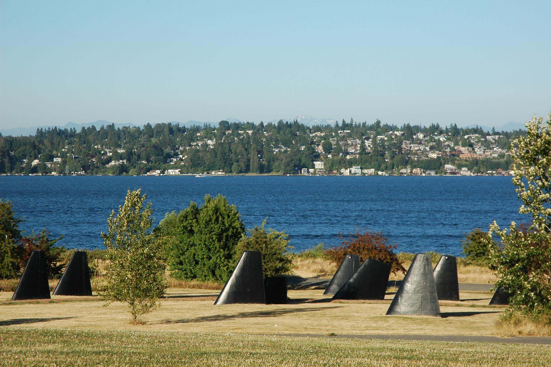 Abstract dark sculptures on a dry grassy field by a lake under a clear sky.