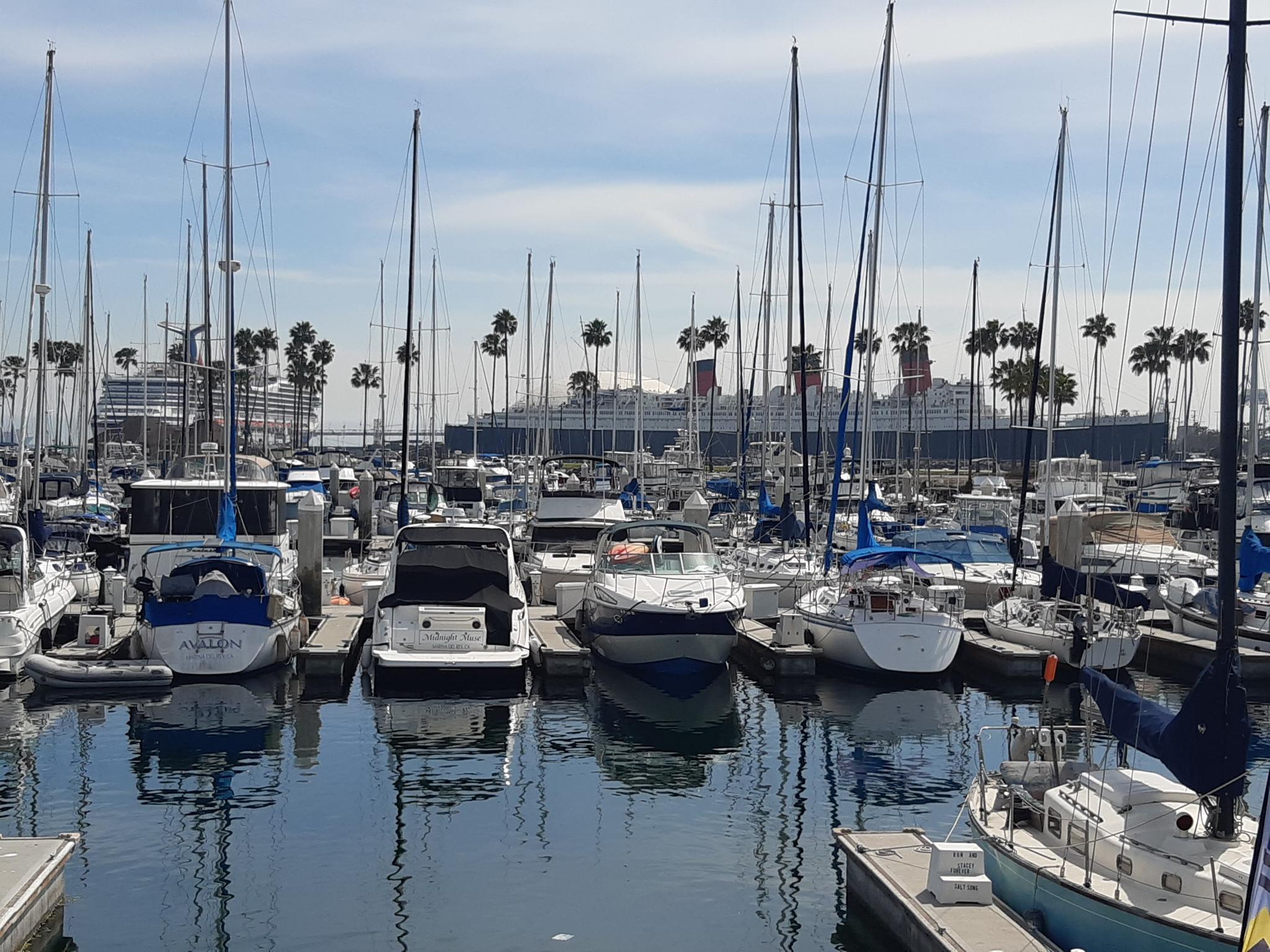 Crowded marina with sailboats, yachts, palm trees, and a large ship.