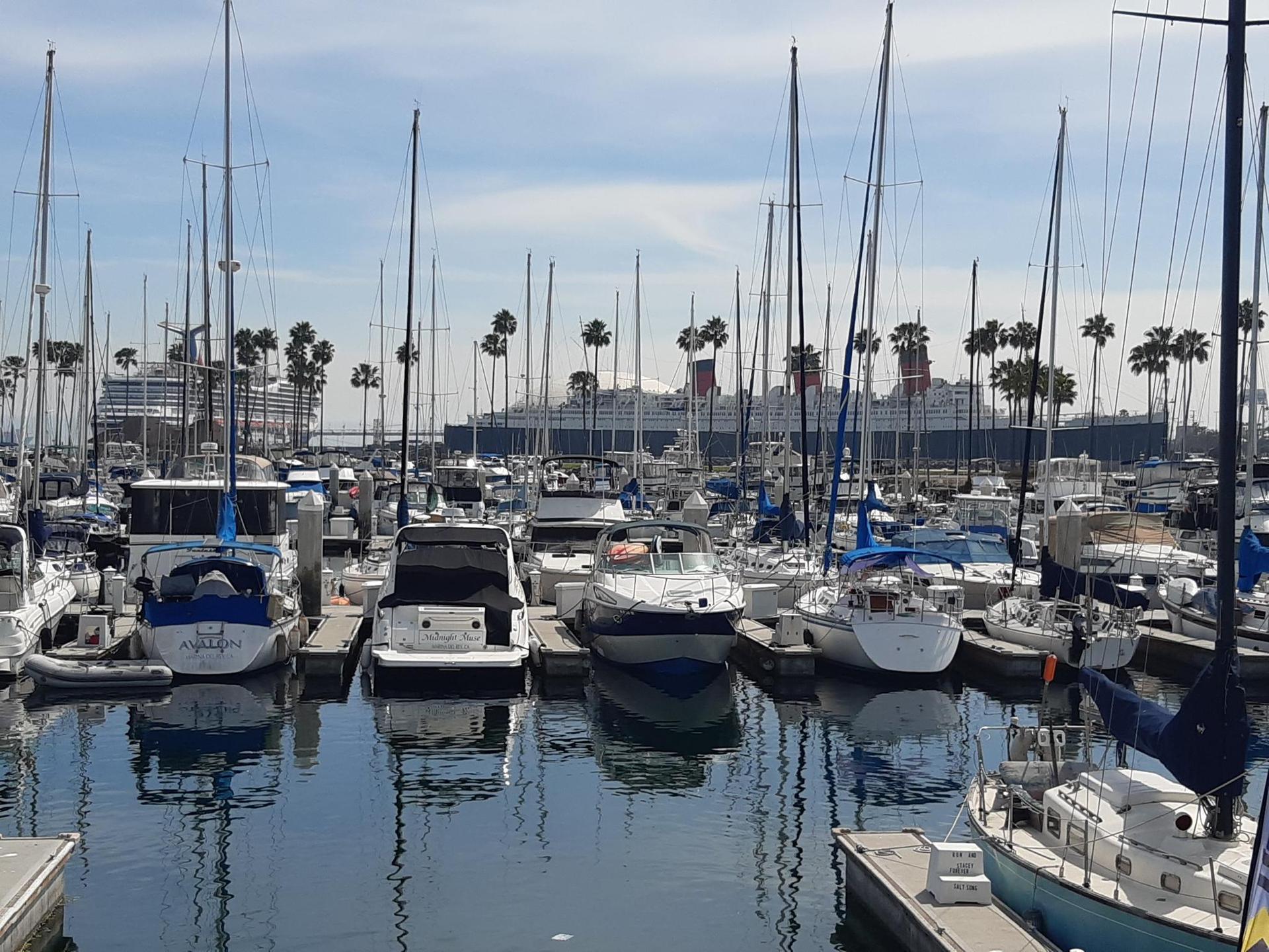 Crowded marina with sailboats, yachts, palm trees, and a large ship.